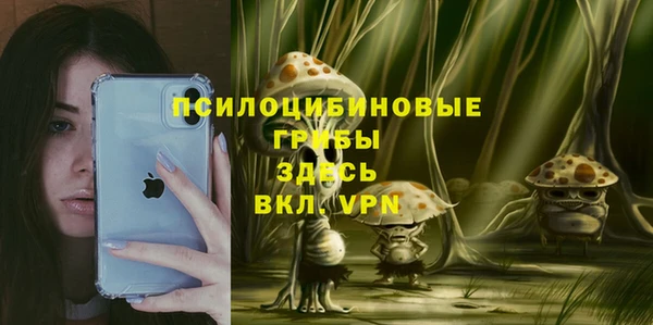 бошки Алексеевка